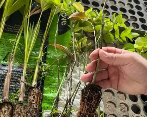 42918A06616CBDF7437C6193314134BA