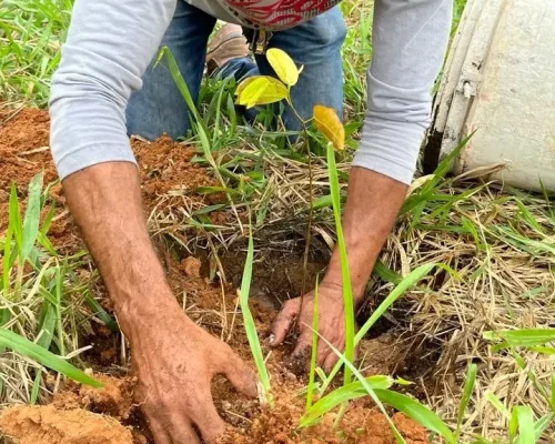 5C78C70CF9D0C7817A6F8533EF88D7A9