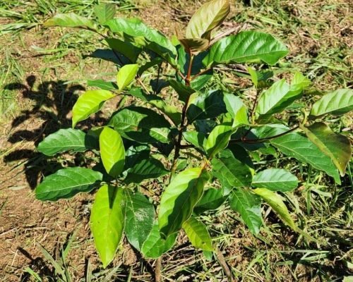 7B74269663689D39760135B68ED40A45